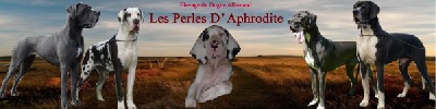 des perles d'Aphrodite - Nouvelle Bannière