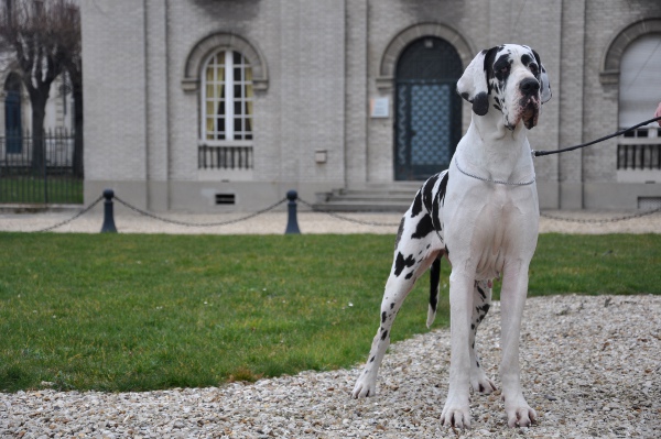 Egérie des perles d'Aphrodite